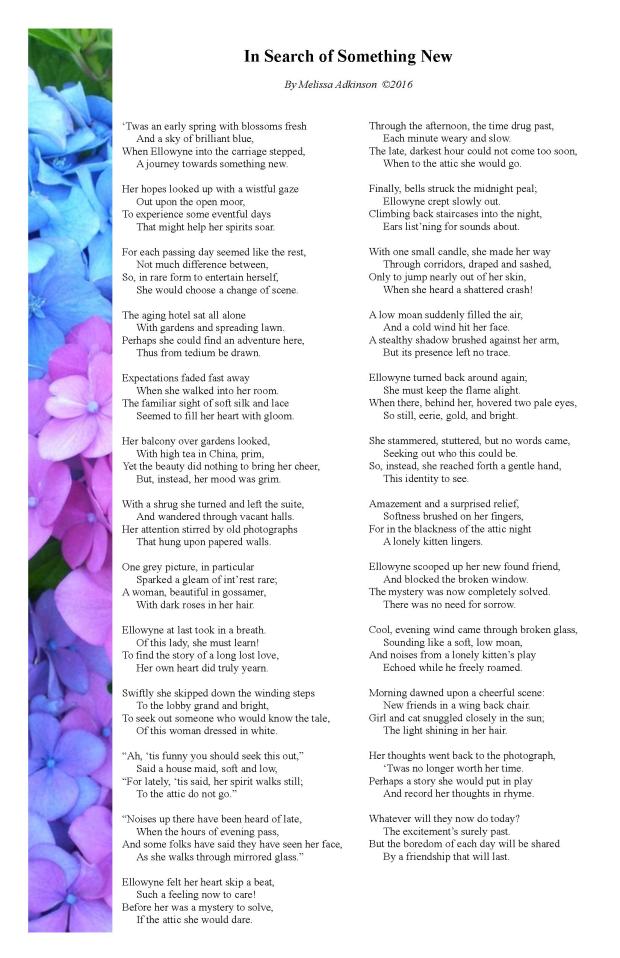In Search of Something New ~ by Melissa Adkinson